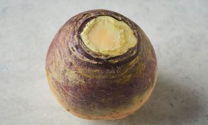 A swede (vegetable)