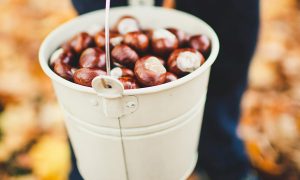 A bucket of conkers